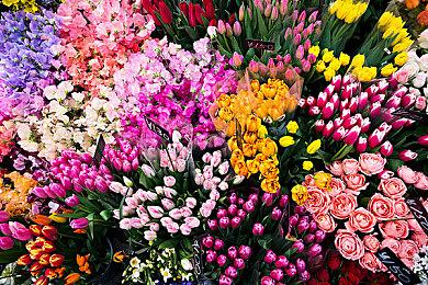 《Hollowbody》登陆Steam 废墟恐怖探索