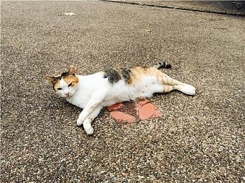 PS5主机盖三种全新颜色现已开售 国内可直接购买